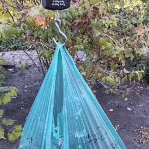 Продам виноград 🍇 «Молдова»