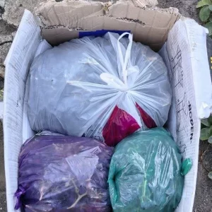 Продам виноград 🍇 «Молдова»