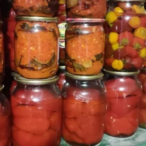 Домашняя закупорка