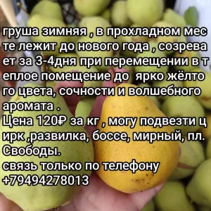 В продаже комнатные перчики и зимняя груша