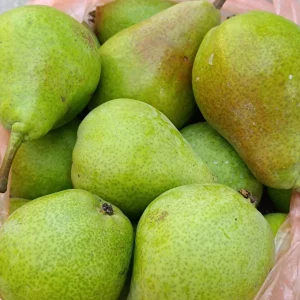 Продам домашние огурцы, помидоры и груши «Лесная красавица»