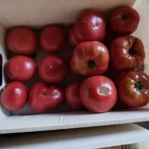 📌Макеевка — Плеханова