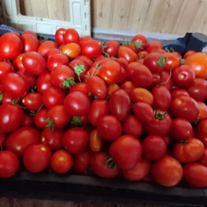 Продам