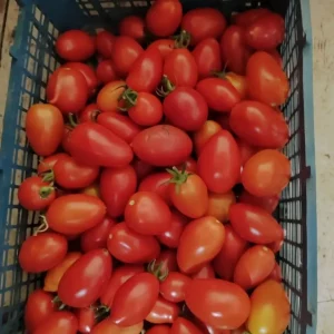 Продам