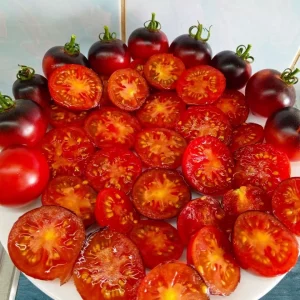 Продам сортовые помидоры из коллекционных семян.