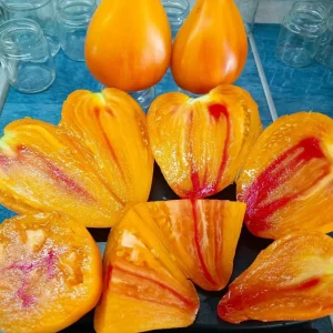 Продам сортовые помидоры из коллекционных семян.