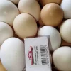 photo_2026-01-21_19-22-30